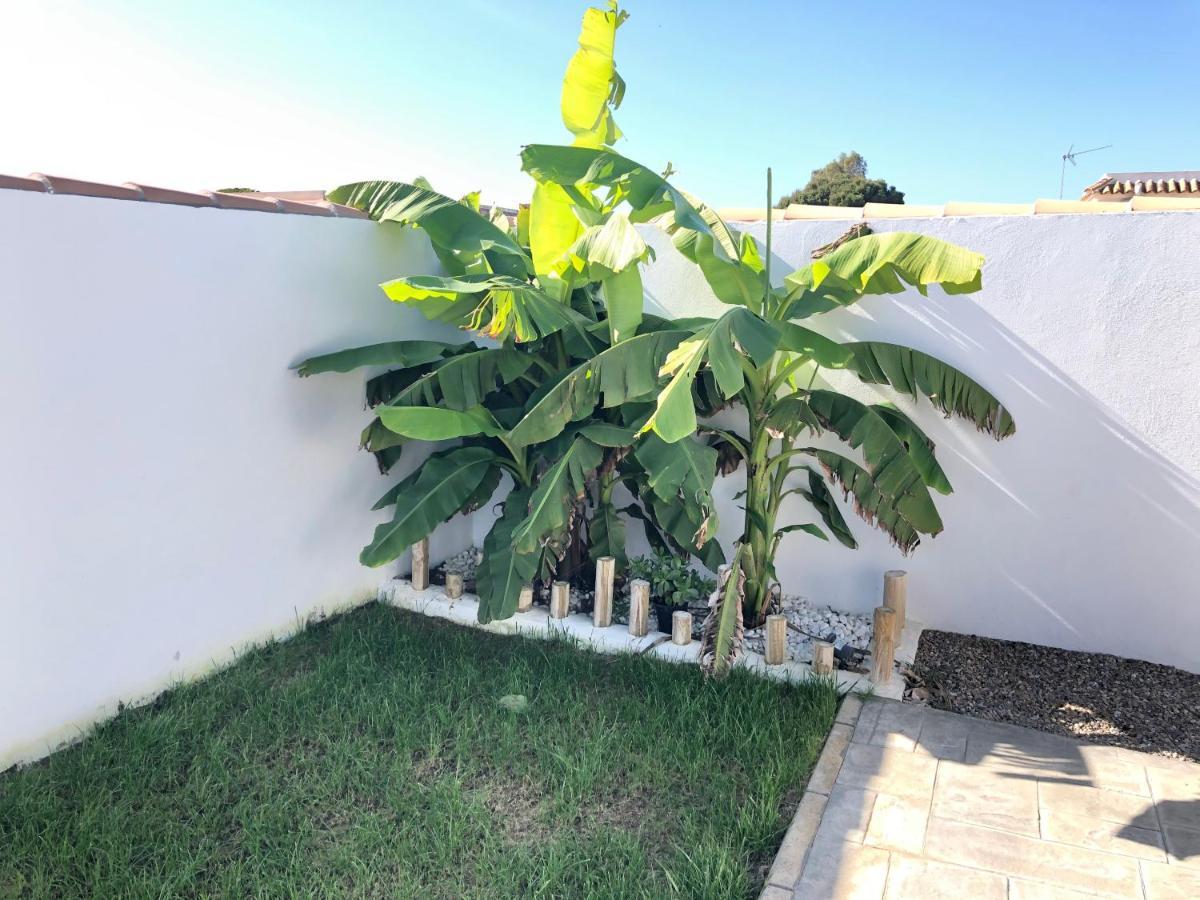Alojamientos Con Piscina Privada Y Cerca Del Mar, Mire Las Fotos Y Elija El Suyo, Le Esperamos Chiclana de la Frontera Eksteriør billede